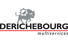 Logo Derichebourg